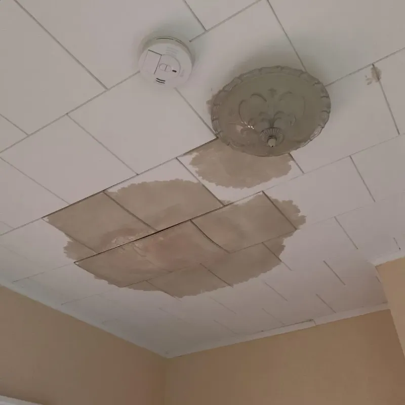 Ceiling Water Damage Repair in Terra Mar, FL
