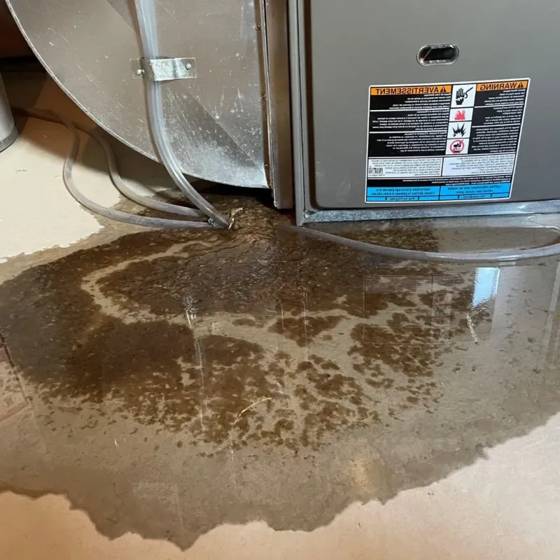 Pipe Burst and Leak Restoration in Terra Mar, FL